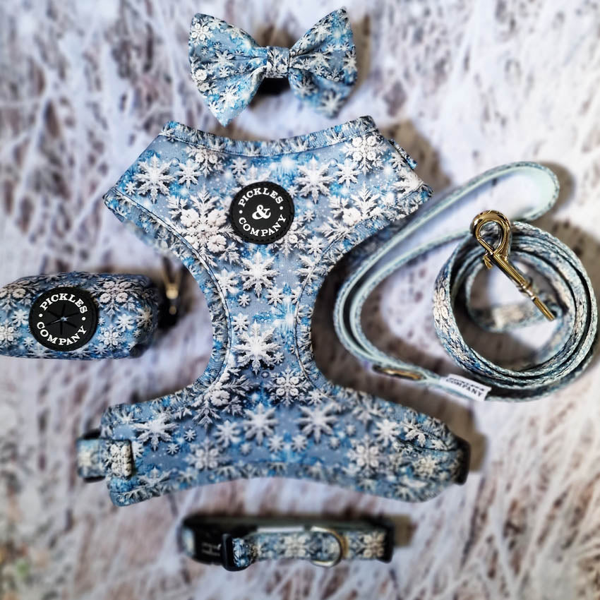 Frosty Snowflakes Printed Webbing and soft Neoprene Dog Collar