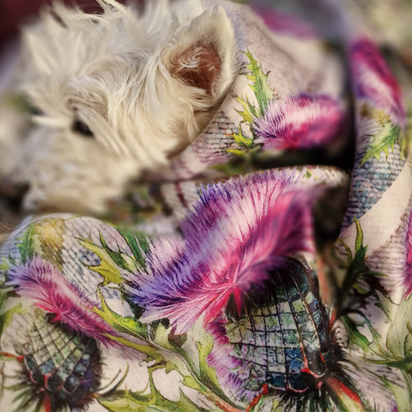 Sherpa fleece Tartan Thistles Dog Blanket