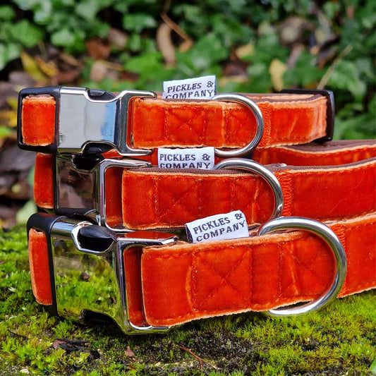 BURNT ORANGE VELVET ADJUSTABLE DOG COLLAR
