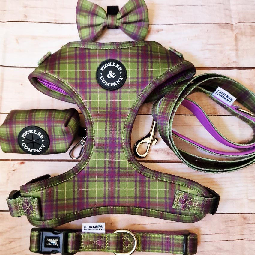 Green, Purple and Plum Tartan Printed Webbing and soft Neoprene Dog Collar