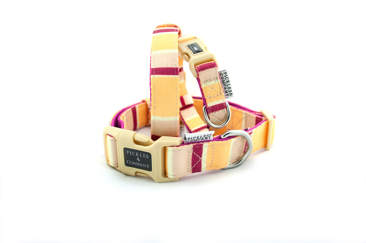 'RHUBARB & CUSTARD' Printed Webbing and soft Neoprene Dog Collar