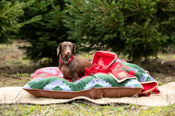 DOG BEDS - SOUTHWESTERN FLEECE RED & BLUE AND FAUX SUEDE