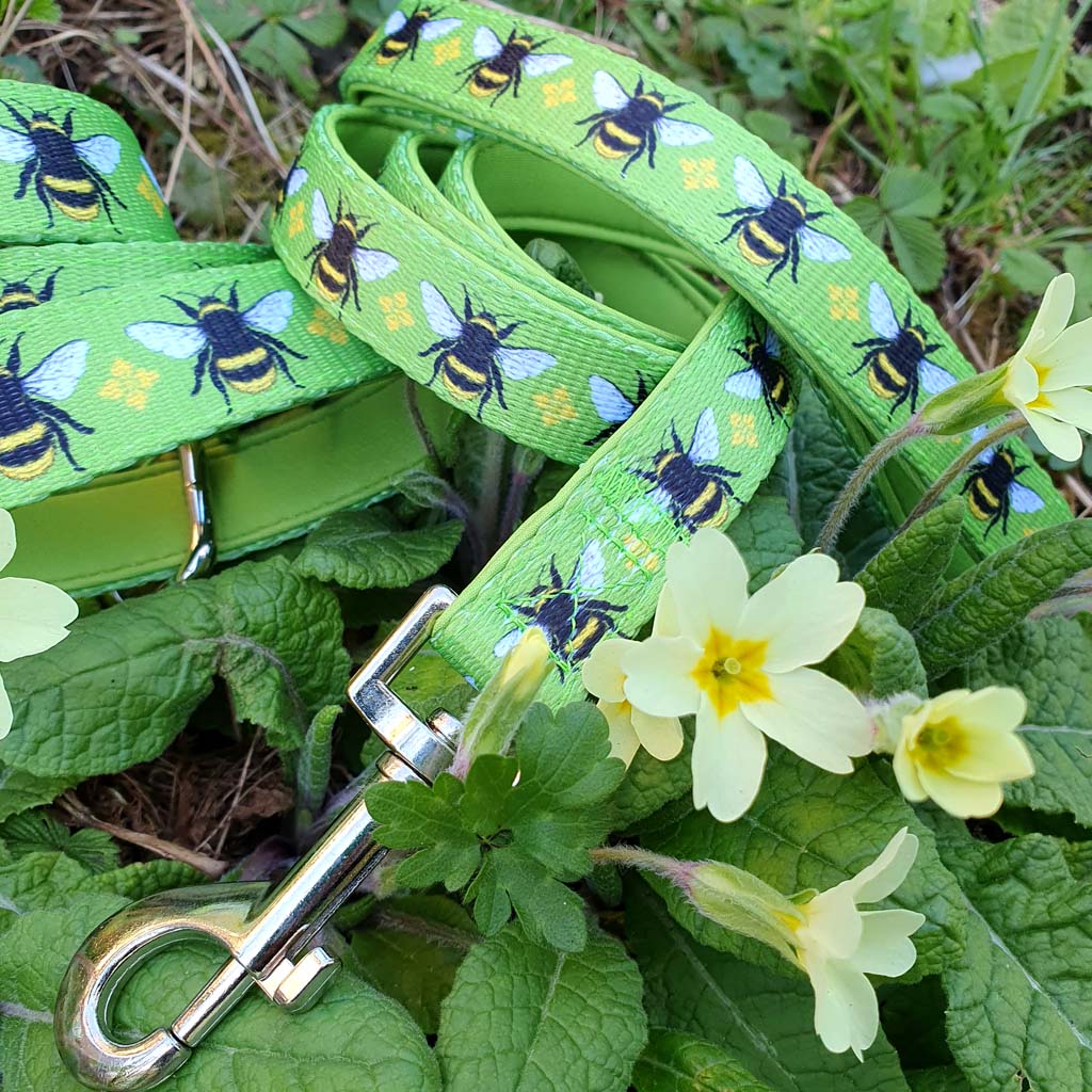 Bumble Bee Printed Webbing and soft Neoprene Dog Collar