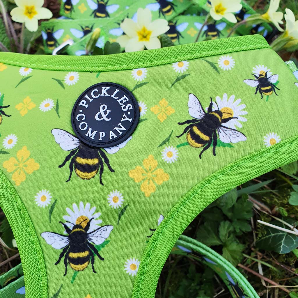 HARNESS BEE PRINT NEOPRENE