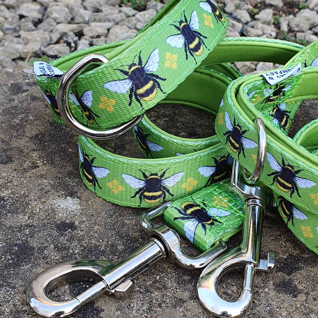 Bumble Bee Printed Webbing and soft Neoprene Dog Lead