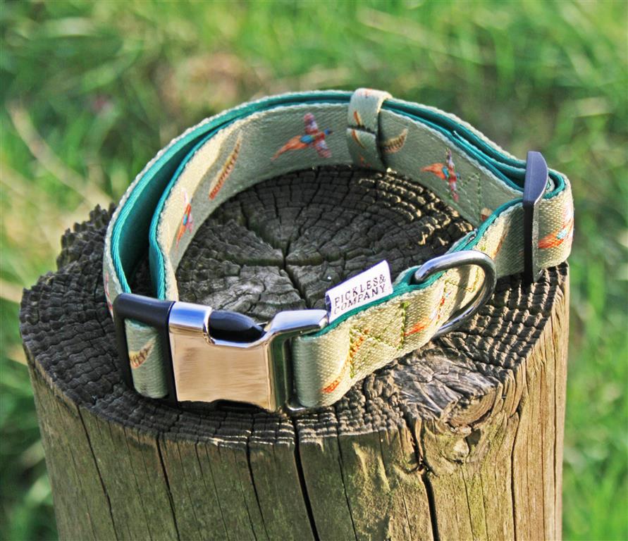 'FLYING PHEASANT' Printed Webbing and soft Neoprene Dog Collar