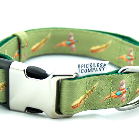 dog collar pheasant green