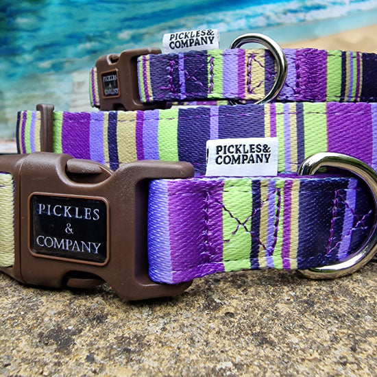'PURPLE & LIME STRIPES' Printed webbing and soft Neoprene Collar