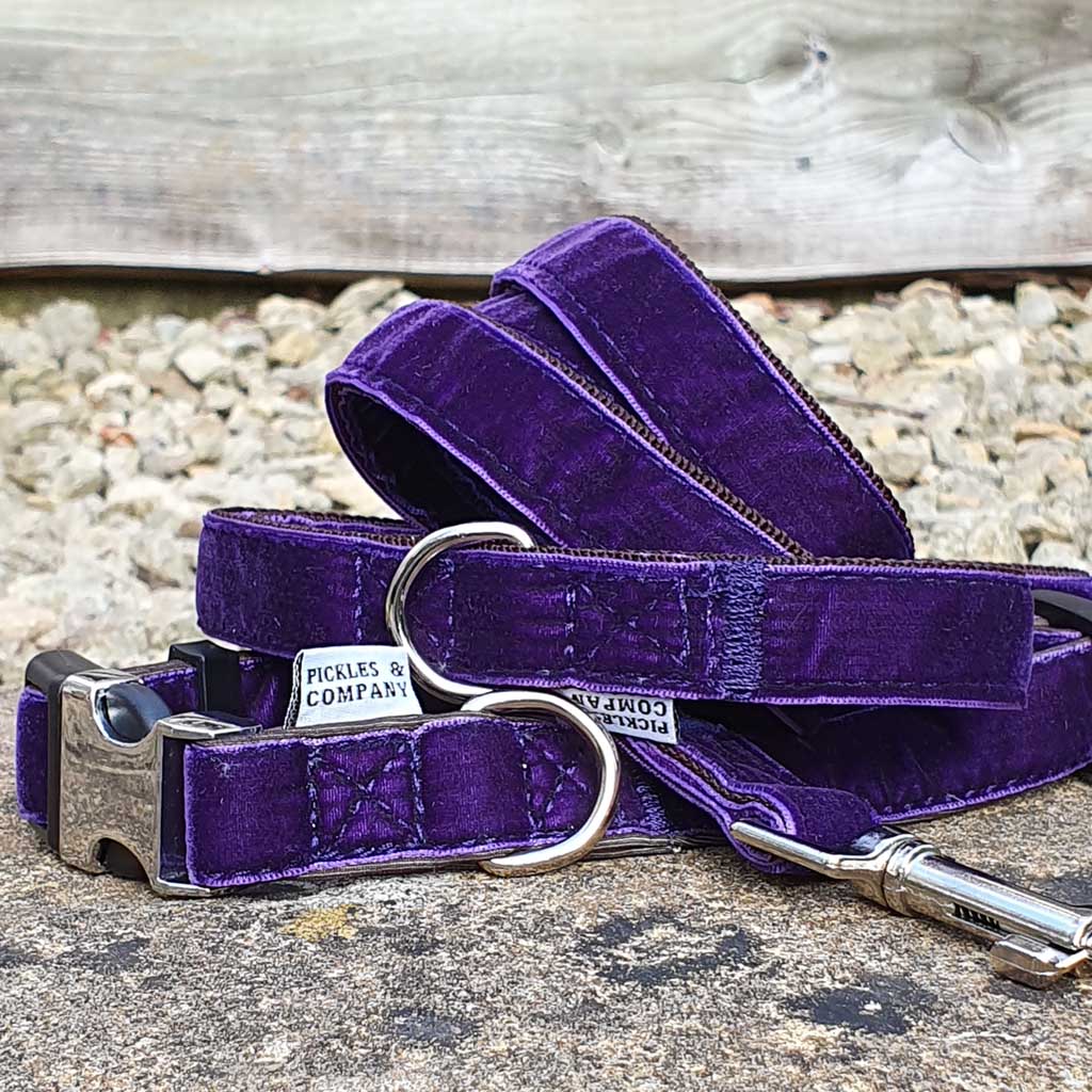 DARK PURPLE VELVET ADJUSTABLE DOG COLLAR