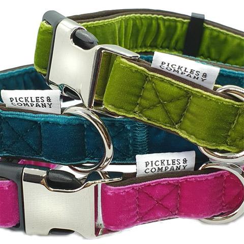dog collar velvet