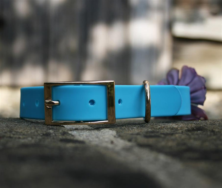 BIOTHANE DOG COLLARS