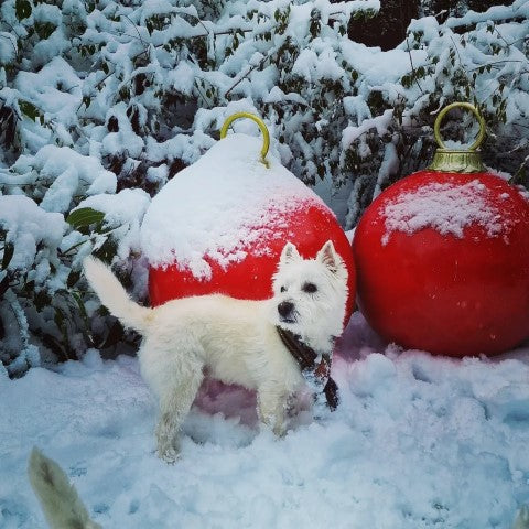 CHRISTMAS