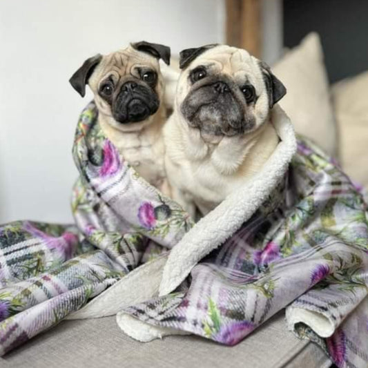 Sherpa fleece Tartan Thistles Dog Blanket