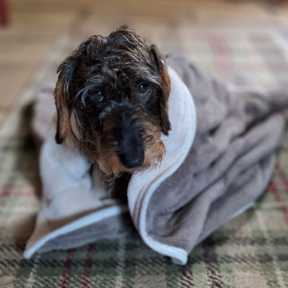 Dog Drying Blanket