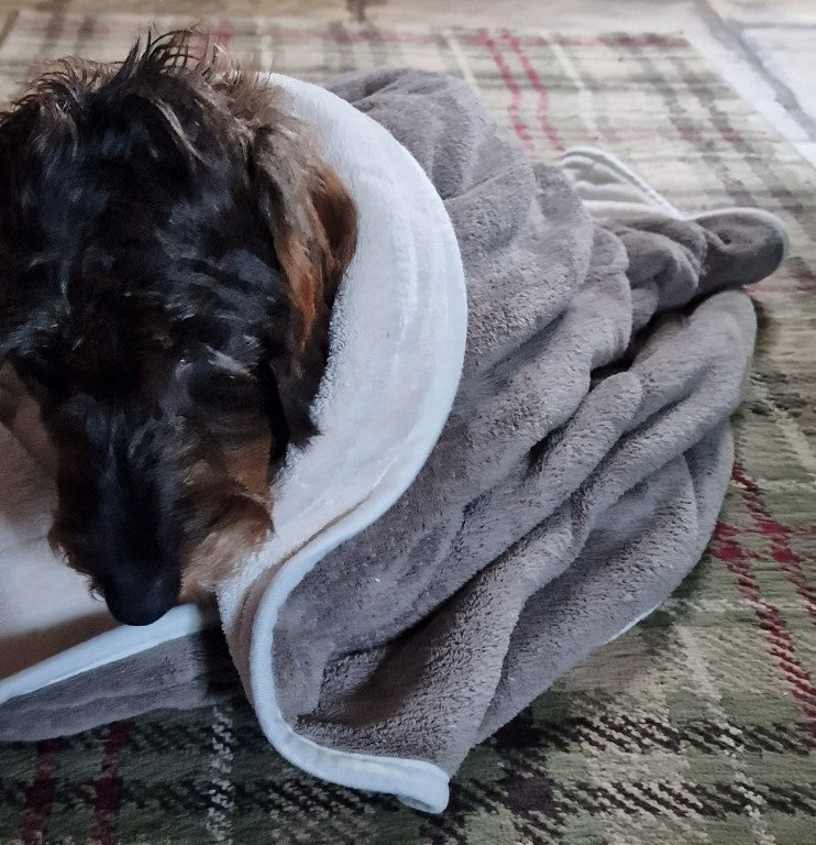 Dog drying blanket hot sale