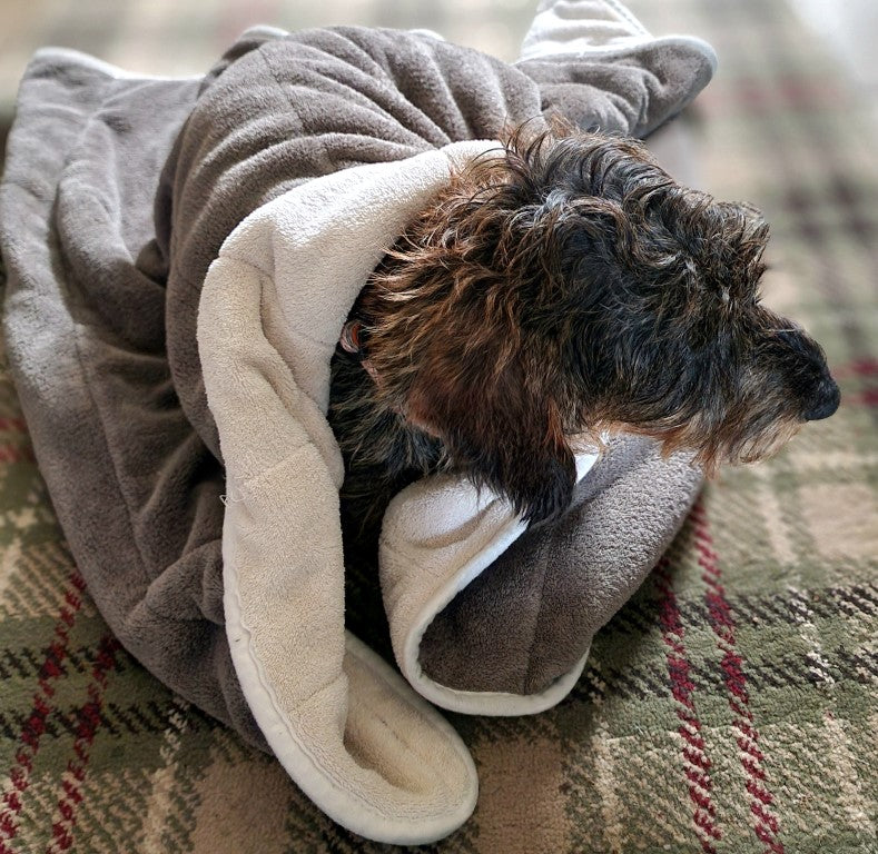 Dog drying blanket deals
