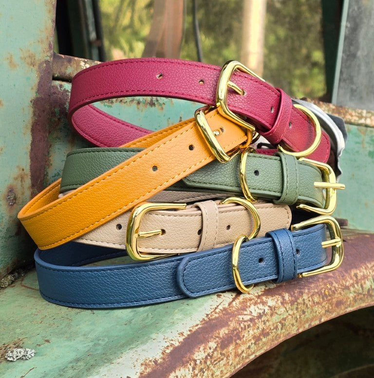 Vegan grain Leather Dog Collar