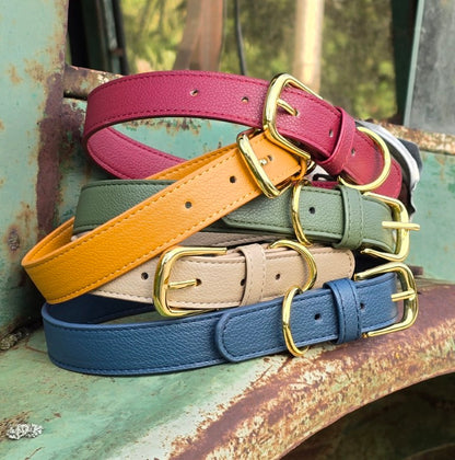 Vegan grain Leather Dog Collar