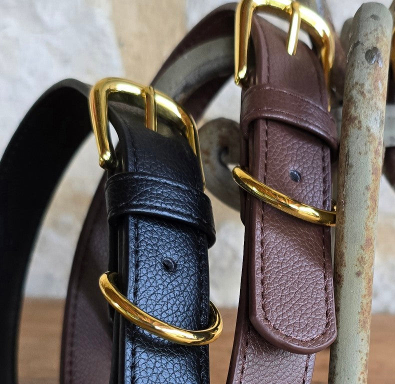 Vegan grain Leather Dog Collar