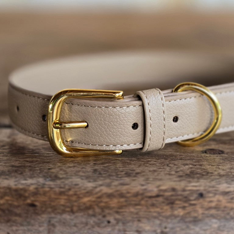 Vegan grain Leather Dog Collar