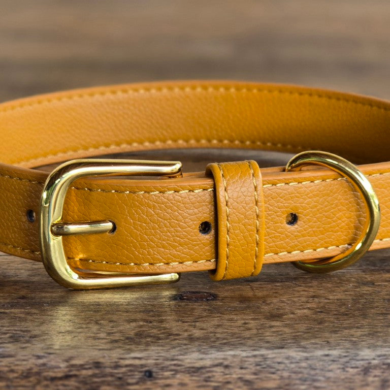 Vegan grain Leather Dog Collar