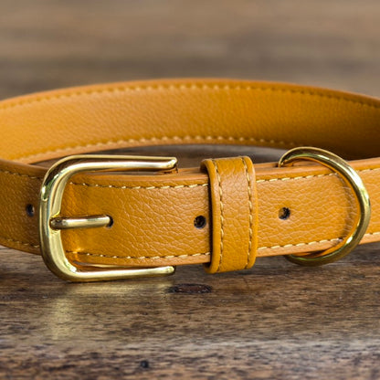 Vegan grain Leather Dog Collar