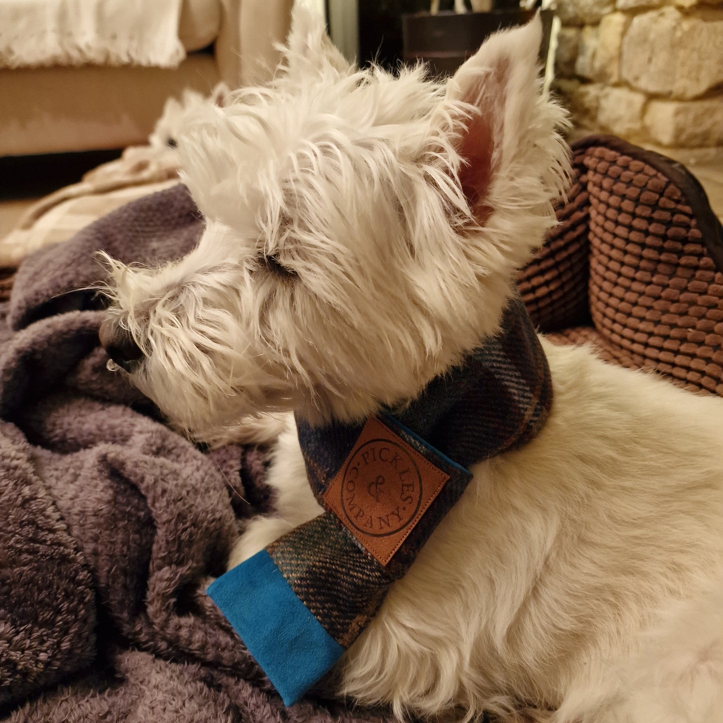 Teal & Brown check Tweed and Teal velvet Dog Scarf