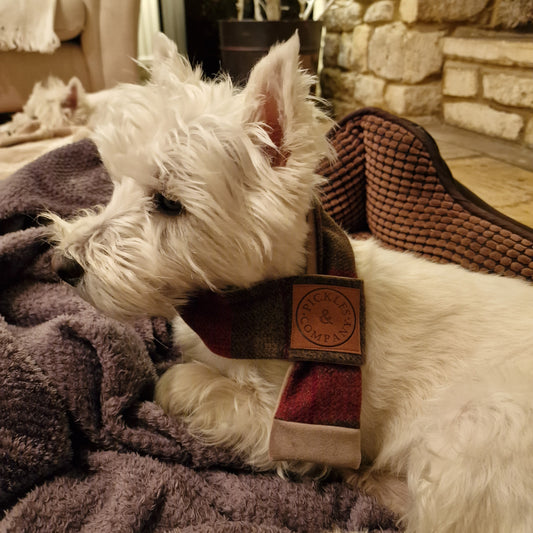 Rust red check Tweed and Beige velvet Dog Scarf