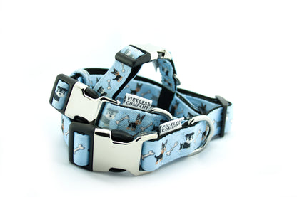 'Blue Doggies' Printed Webbing and soft Neoprene Dog Collar
