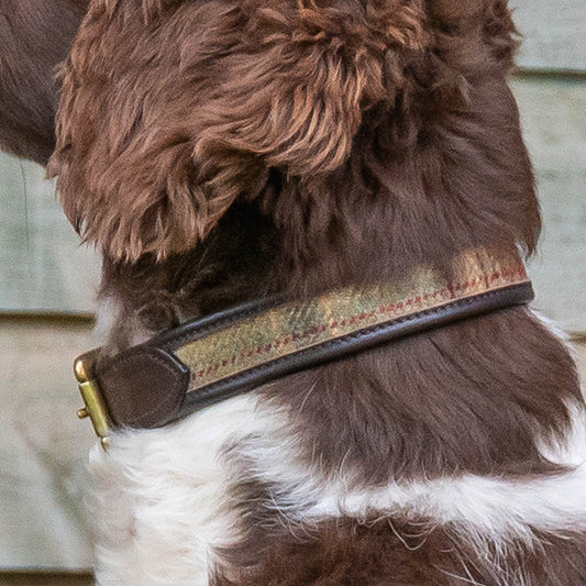 ' The Balmoral'  Tweed & leather Dog Collar