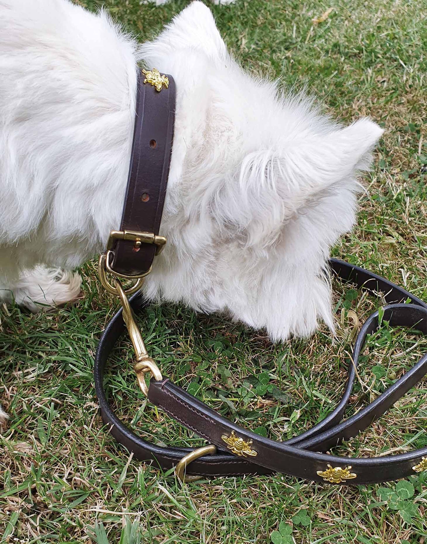 'The Bumble' Dark Brown Leather 'Bee' rivets Dog Lead.