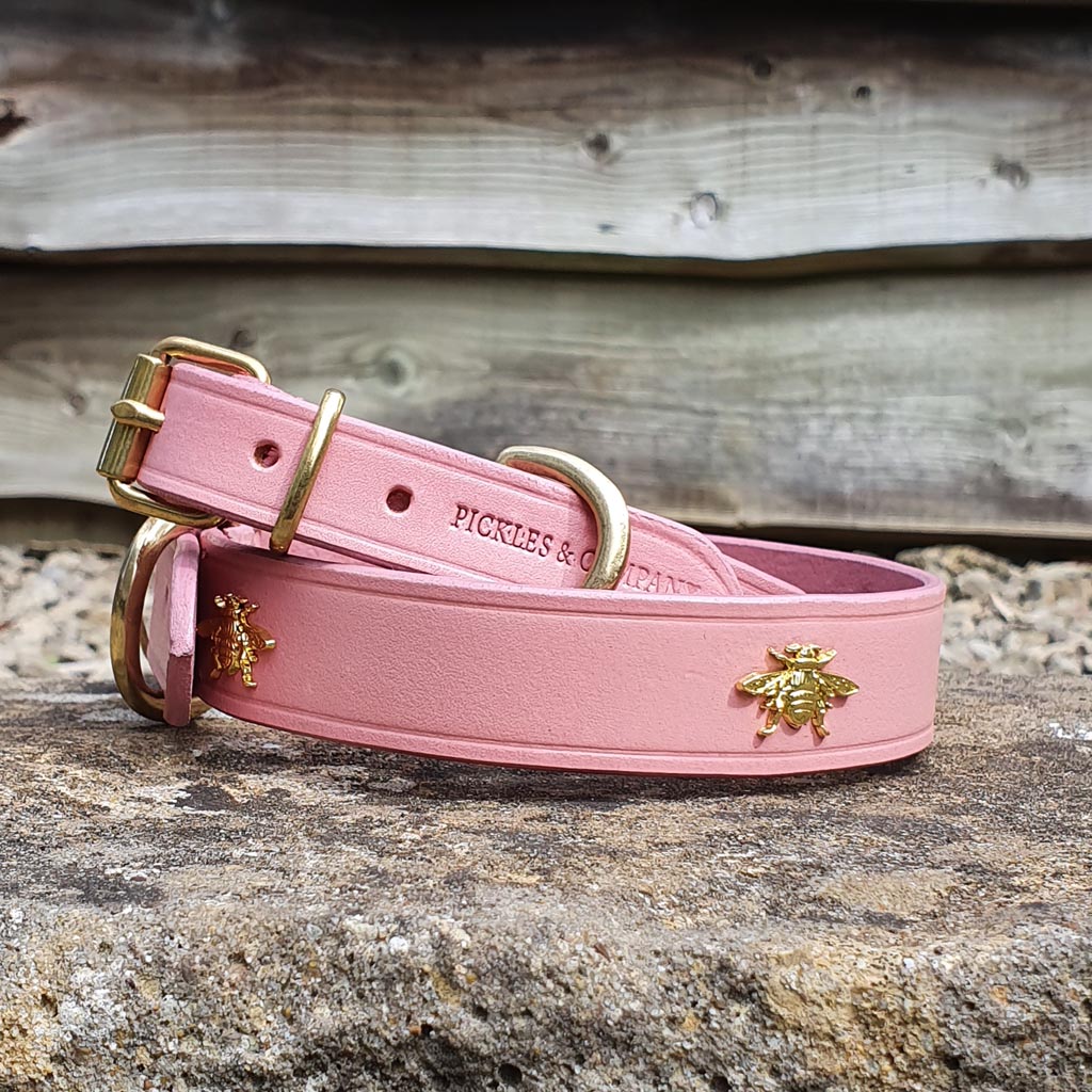 Pink Aurora & Crystals Dog Collar