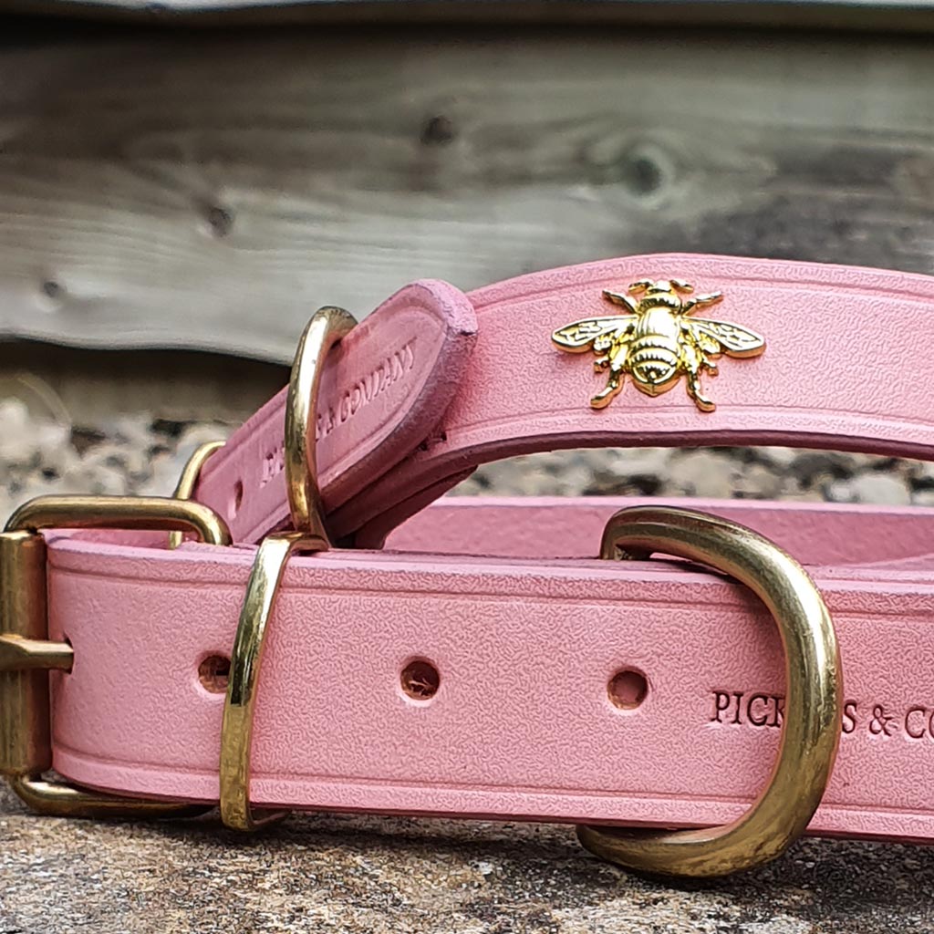Pink leather puppy collar outlet
