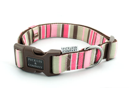 dog collar neoprene webbing pink stripes