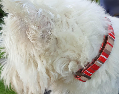 'RED STRIPES' Printed Webbing and soft Neoprene Dog Collar
